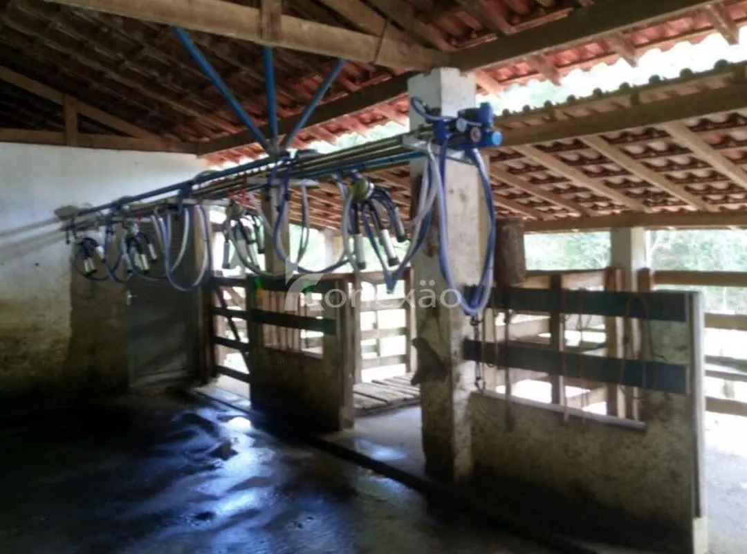 Fazenda à venda de 100 ha em Cunha, SP, Brasil