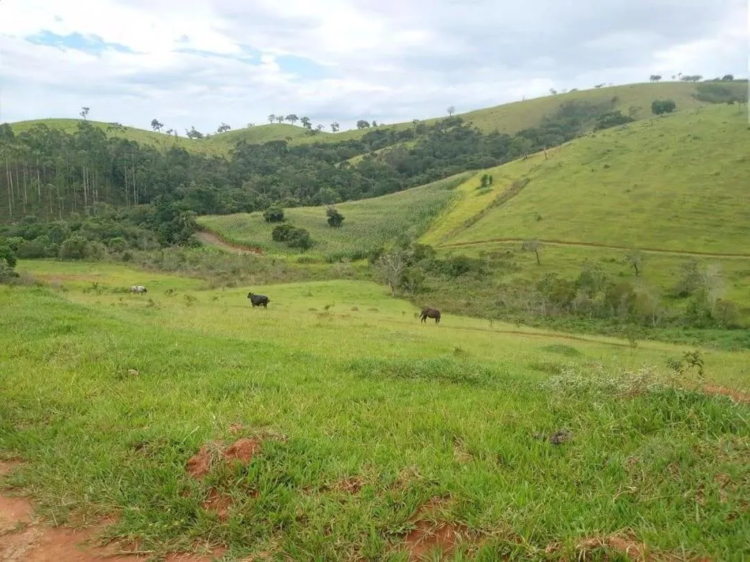 Fazenda à venda de 100 ha em Cunha, SP, Brasil