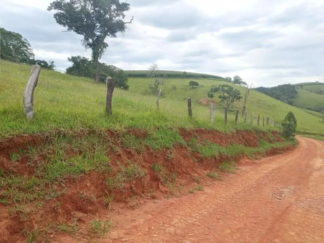 Fazenda à venda de 100 ha em Cunha, SP, Brasil