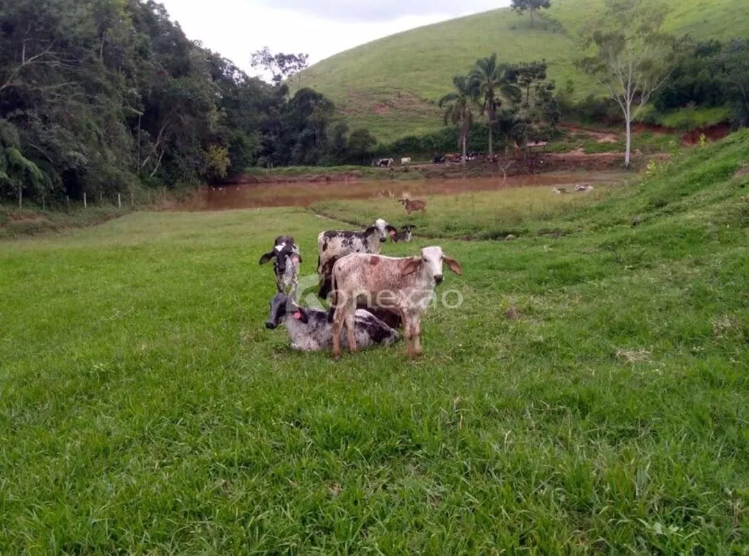 Fazenda à venda de 100 ha em Cunha, SP, Brasil