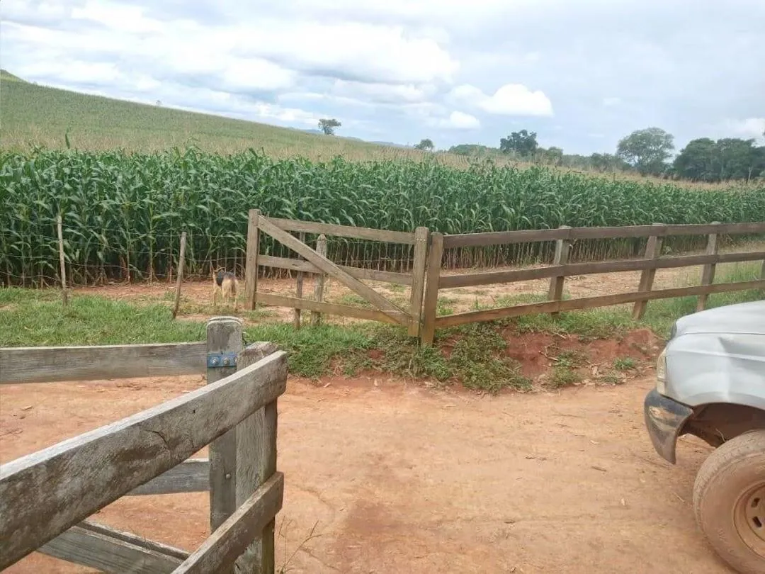 Fazenda à venda de 100 ha em Cunha, SP, Brasil