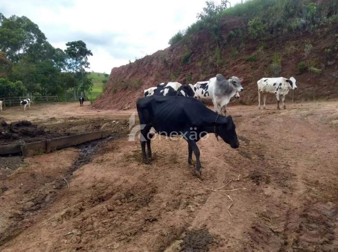 Fazenda à venda de 100 ha em Cunha, SP, Brasil