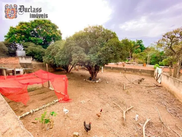 Fazenda à venda de 1.000 ha em Campinas, SP, Brasil