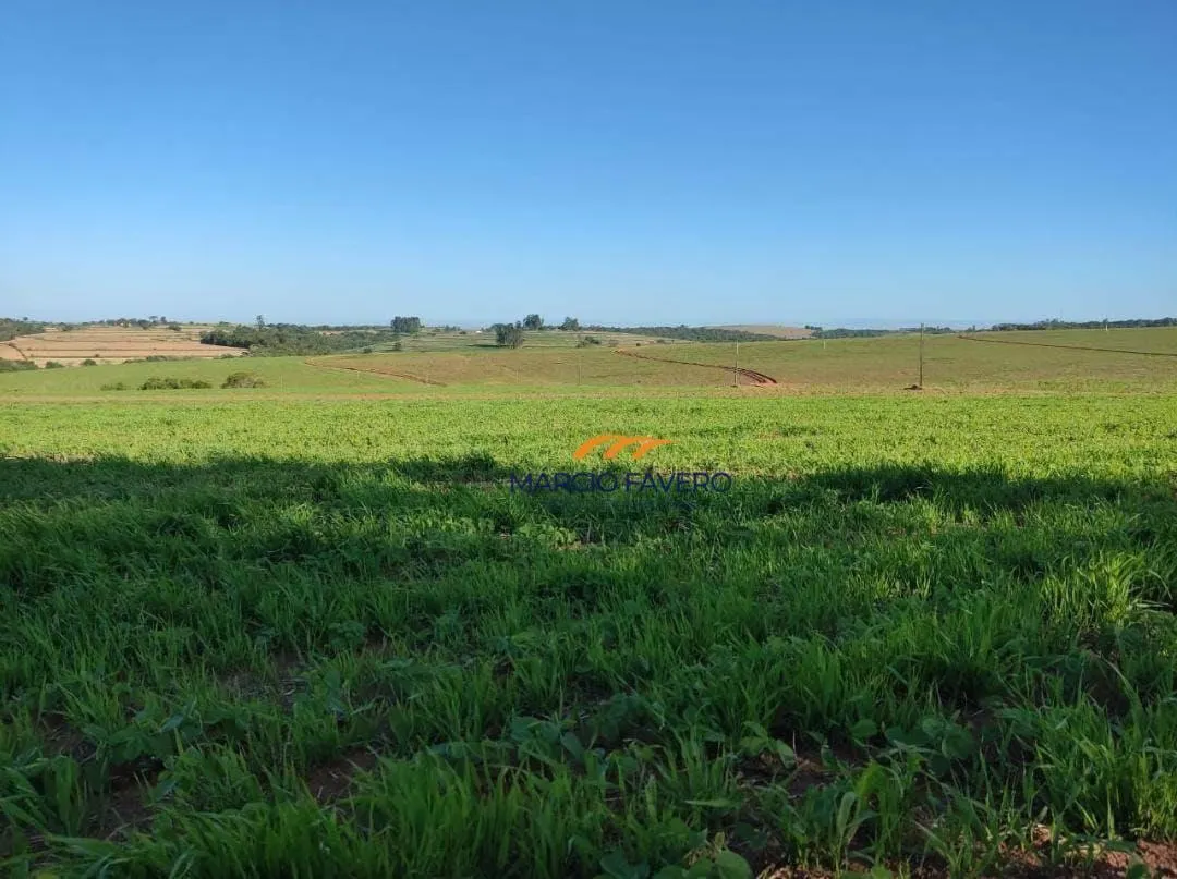 Fazenda à venda de 341 ha em Itapetininga, SP, Brasil