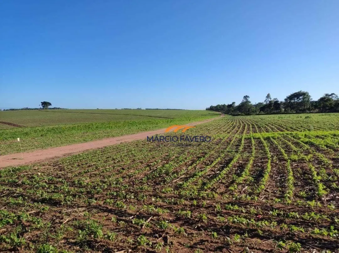 Fazenda à venda de 341 ha em Itapetininga, SP, Brasil