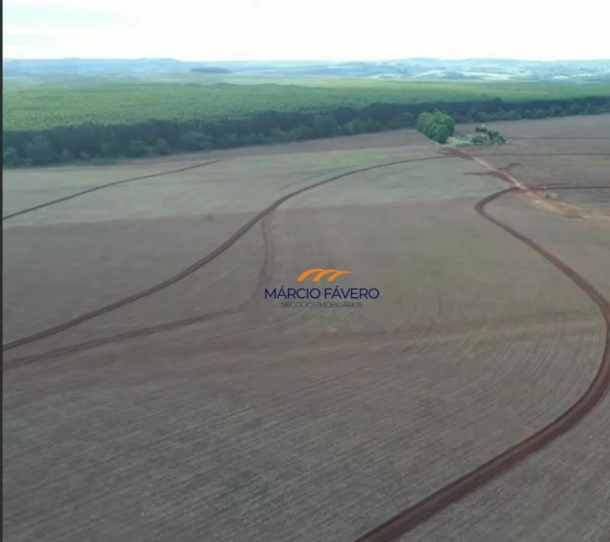 Fazenda à venda de 341 ha em Itapetininga, SP, Brasil