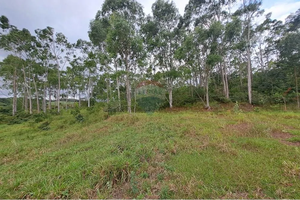 Fazenda à venda de 650 ha em Cajuru, SP, Brasil