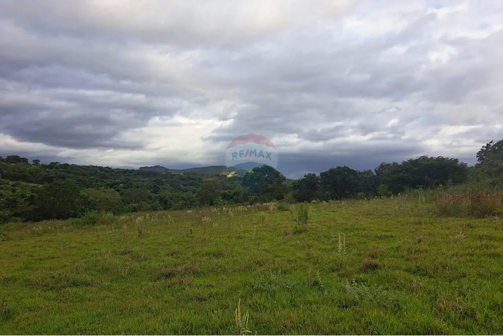 Fazenda à venda de 650 ha em Cajuru, SP, Brasil