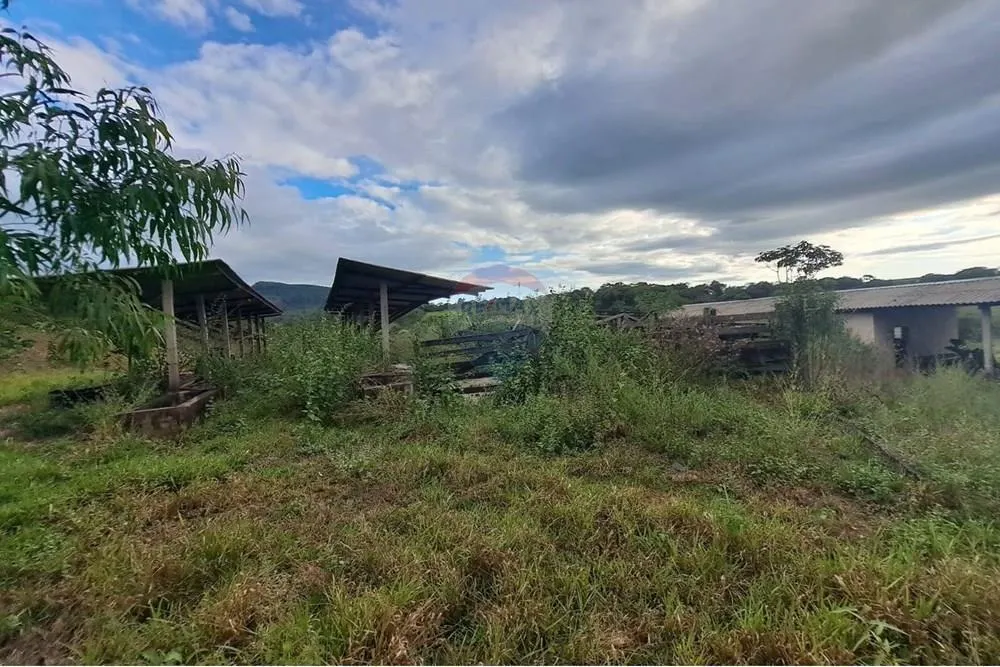 Fazenda à venda de 650 ha em Cajuru, SP, Brasil