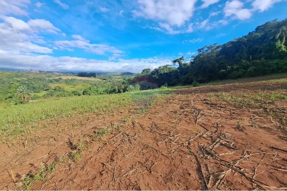 Fazenda à venda de 650 ha em Cajuru, SP, Brasil