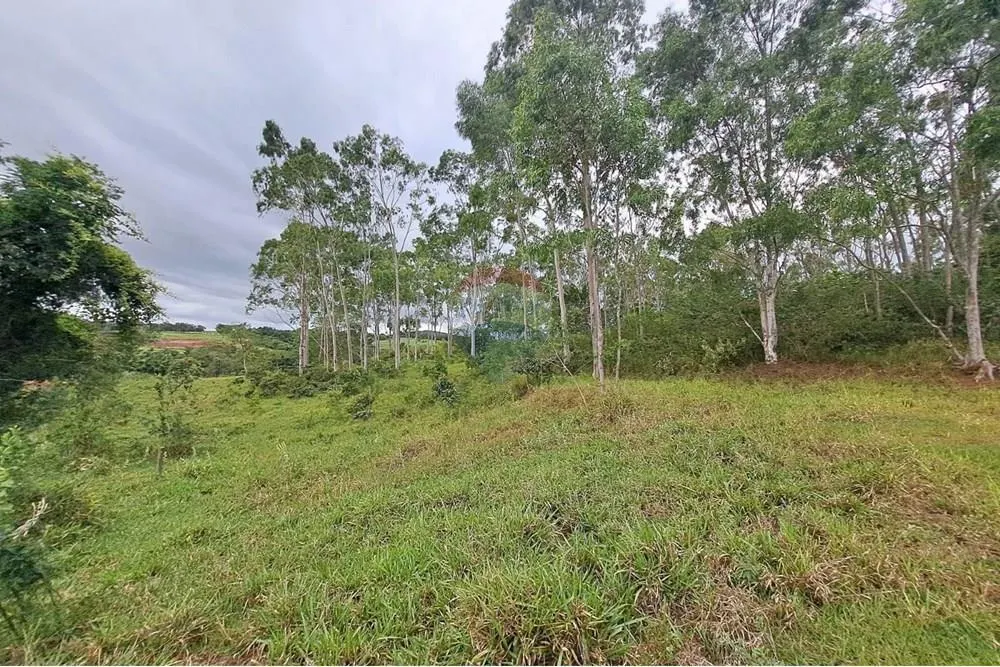 Fazenda à venda de 650 ha em Cajuru, SP, Brasil