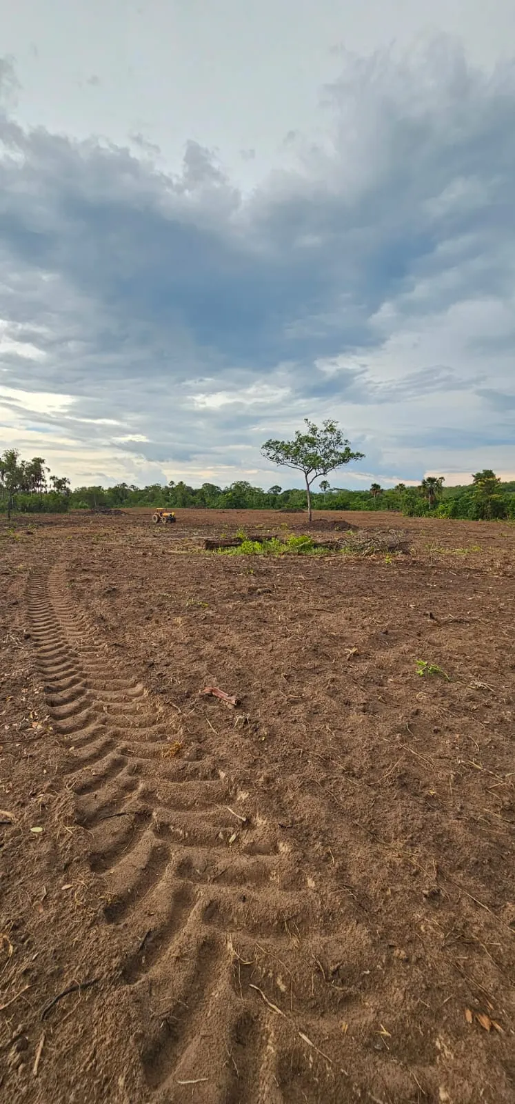 Fazenda à venda de 168 ha em Ponte Alta do Tocantins, TO, Brasil
