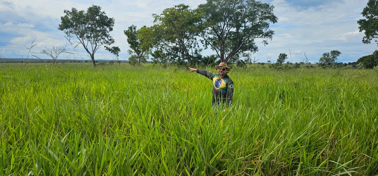Fazenda à venda de 168 ha em Ponte Alta do Tocantins, TO, Brasil