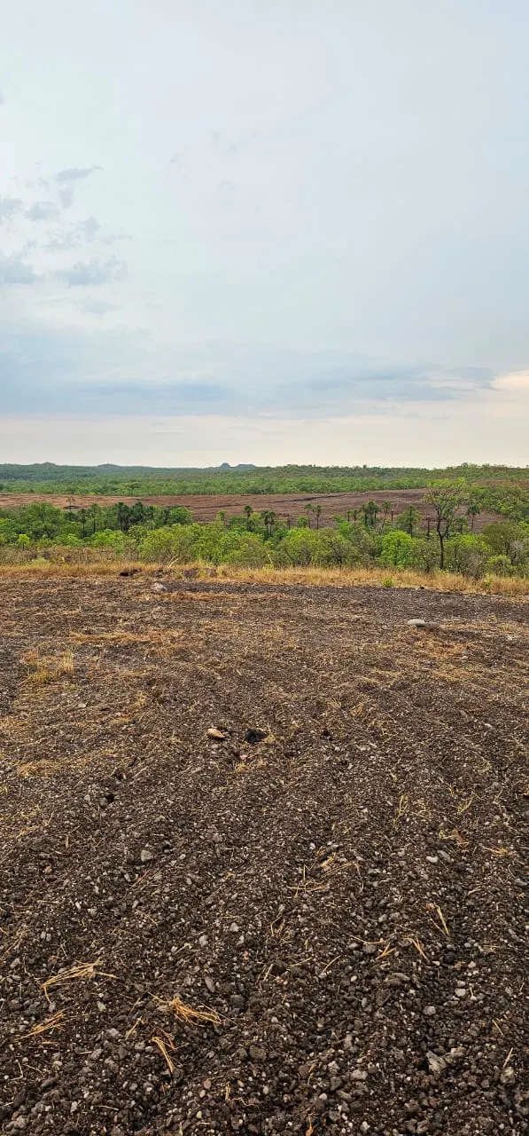 Fazenda à venda de 168 ha em Ponte Alta do Tocantins, TO, Brasil