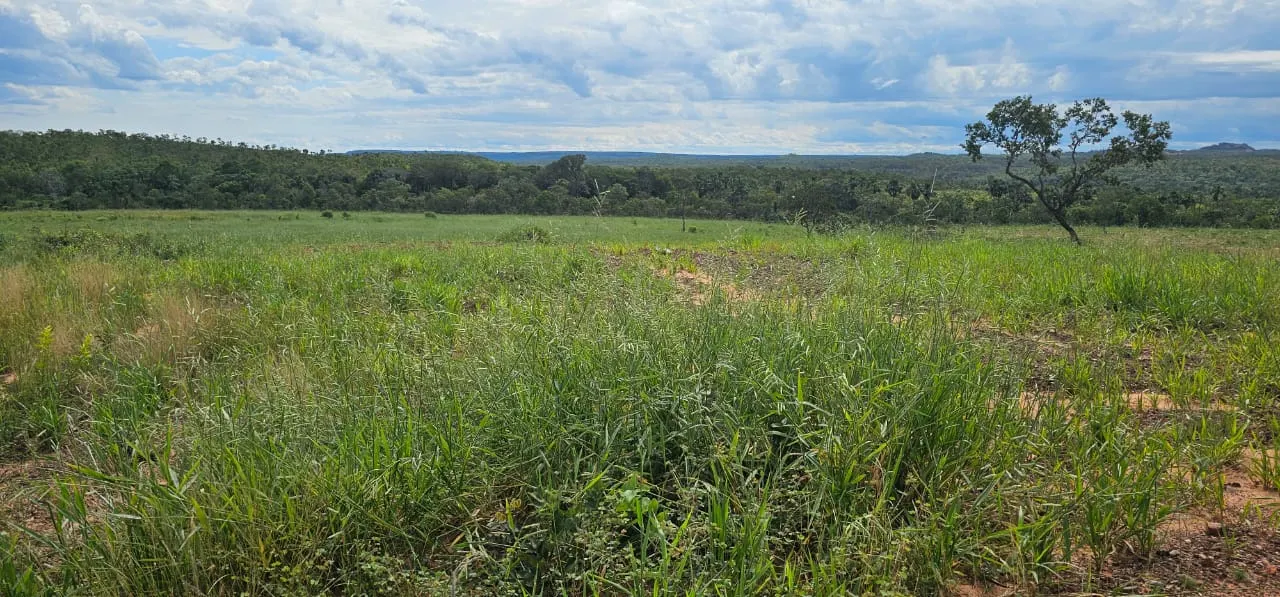 Fazenda à venda de 168 ha em Ponte Alta do Tocantins, TO, Brasil