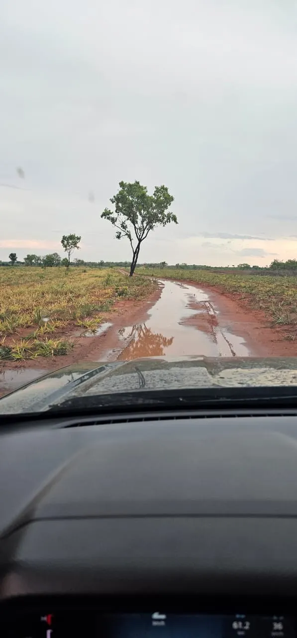 Fazenda à venda de 168 ha em Ponte Alta do Tocantins, TO, Brasil