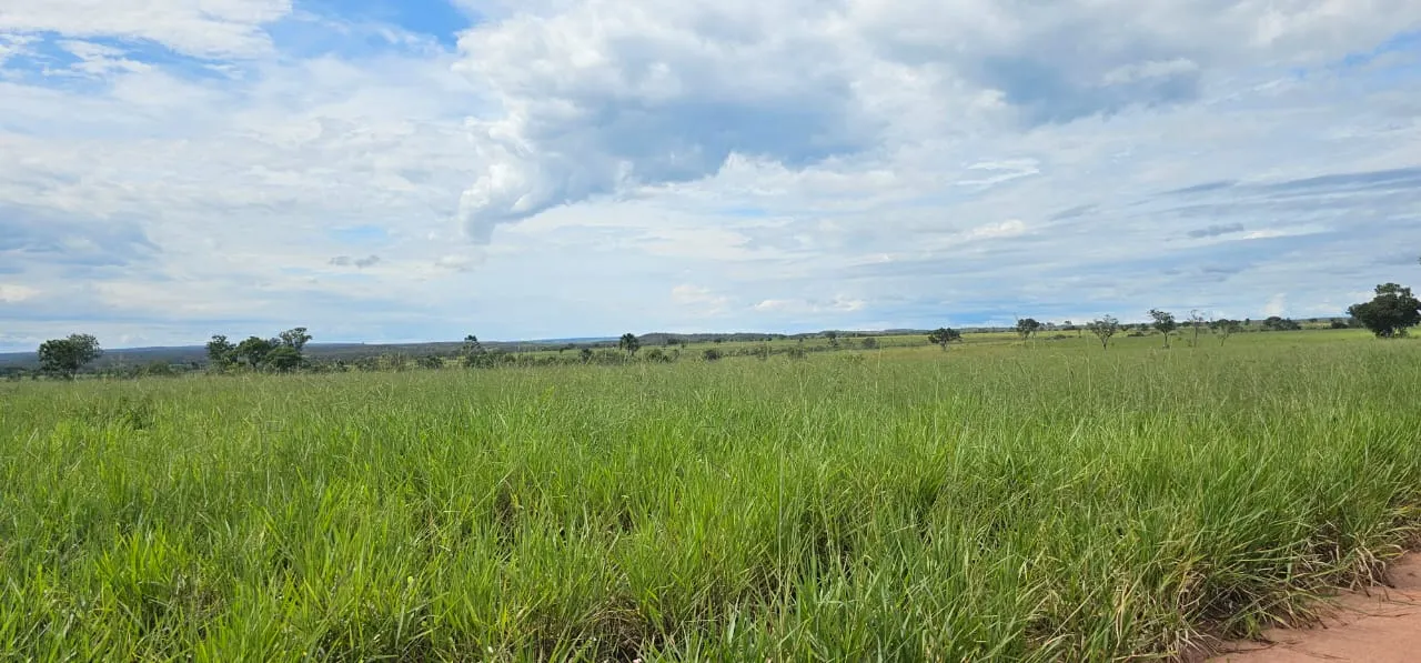 Fazenda à venda de 168 ha em Ponte Alta do Tocantins, TO, Brasil