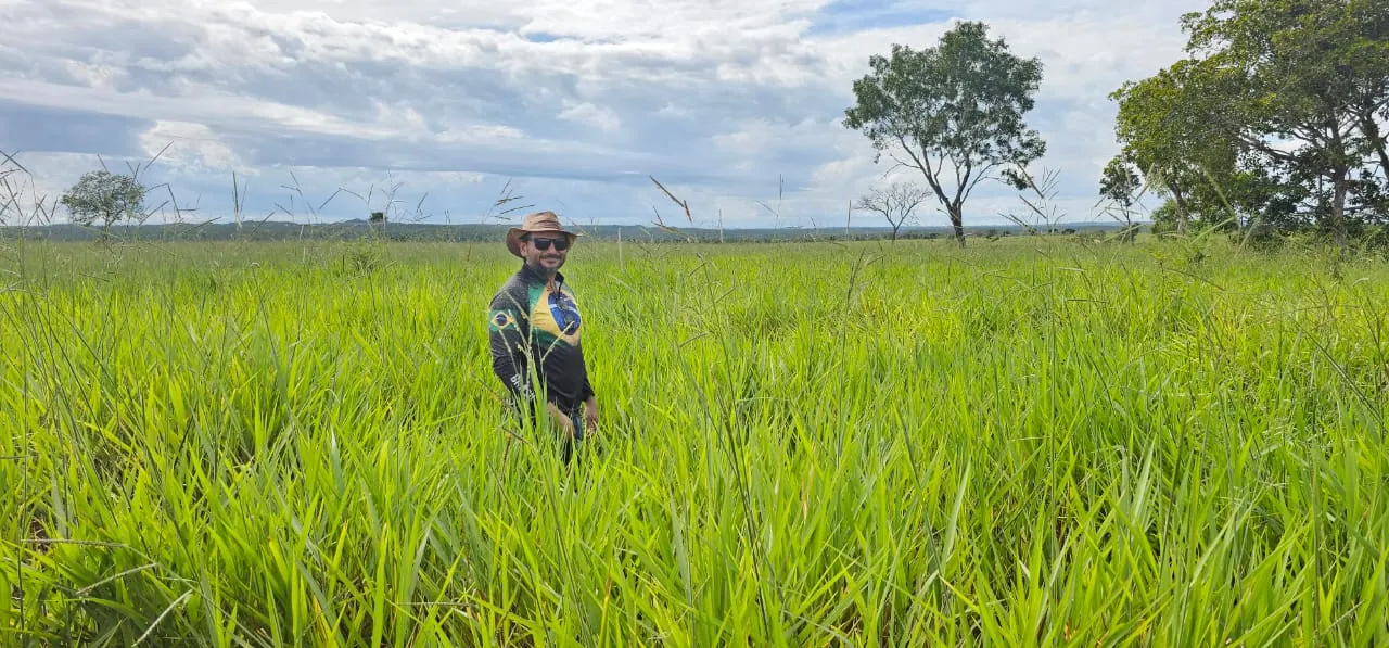 Fazenda à venda de 168 ha em Ponte Alta do Tocantins, TO, Brasil