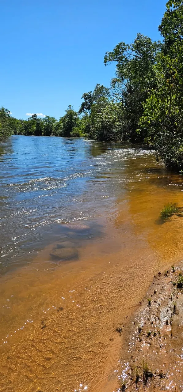 Fazenda à venda de 168 ha em Ponte Alta do Tocantins, TO, Brasil