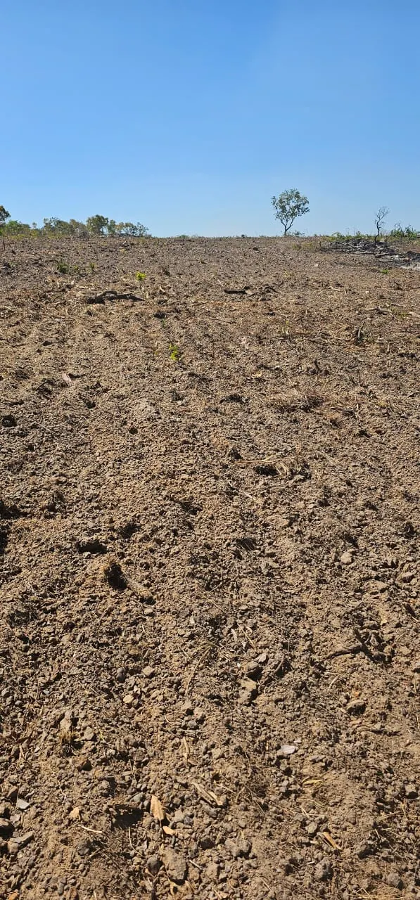 Fazenda à venda de 168 ha em Ponte Alta do Tocantins, TO, Brasil