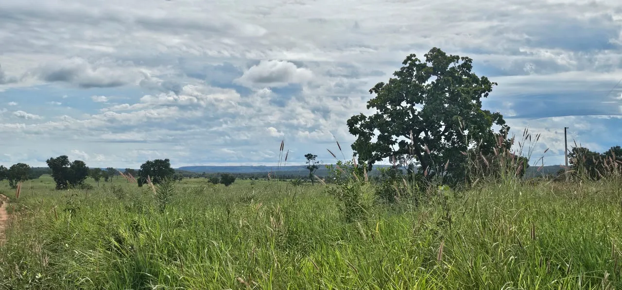 Fazenda à venda de 168 ha em Ponte Alta do Tocantins, TO, Brasil