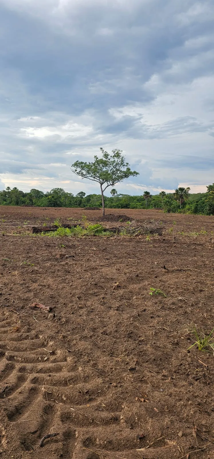 Fazenda à venda de 168 ha em Ponte Alta do Tocantins, TO, Brasil