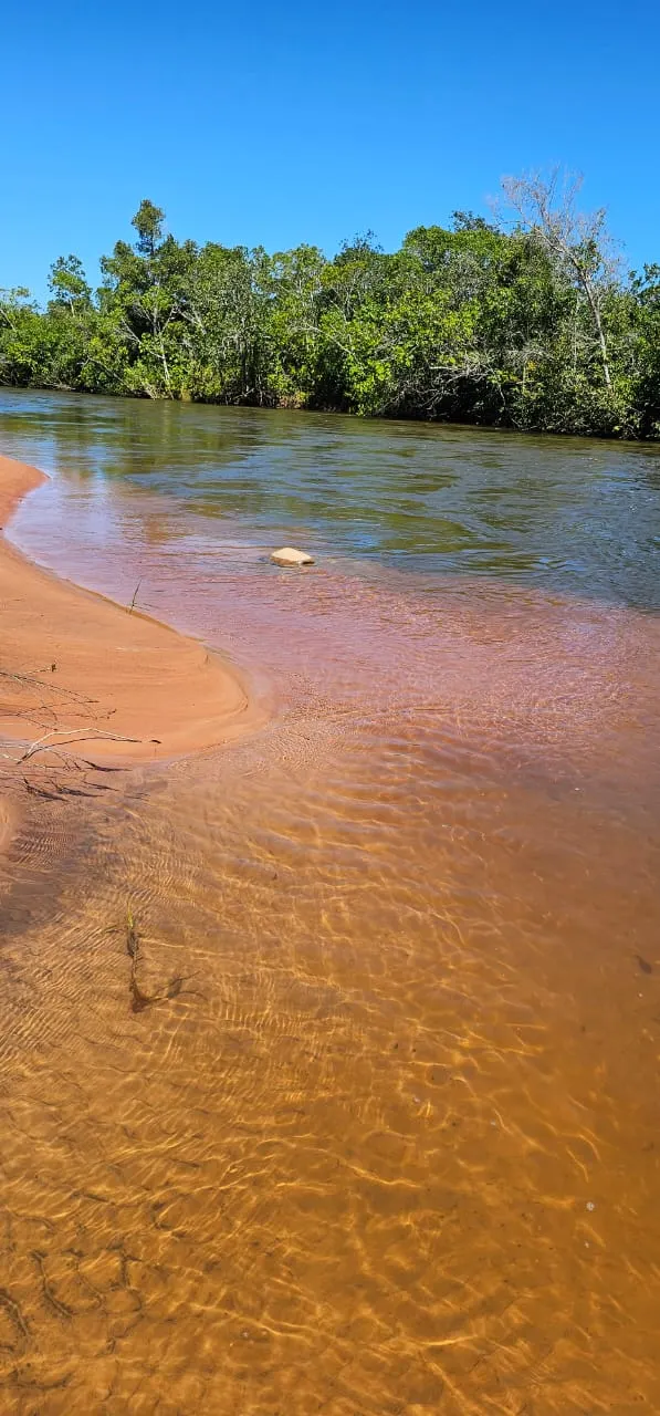 Fazenda à venda de 168 ha em Ponte Alta do Tocantins, TO, Brasil