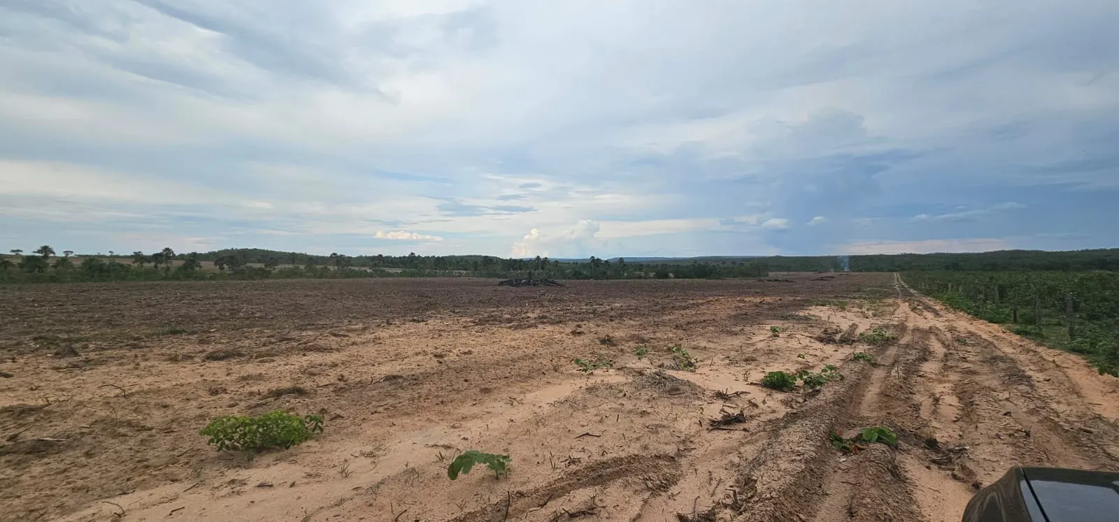 Fazenda à venda de 168 ha em Ponte Alta do Tocantins, TO, Brasil