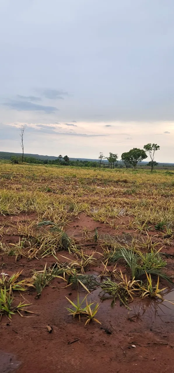 Fazenda à venda de 168 ha em Ponte Alta do Tocantins, TO, Brasil