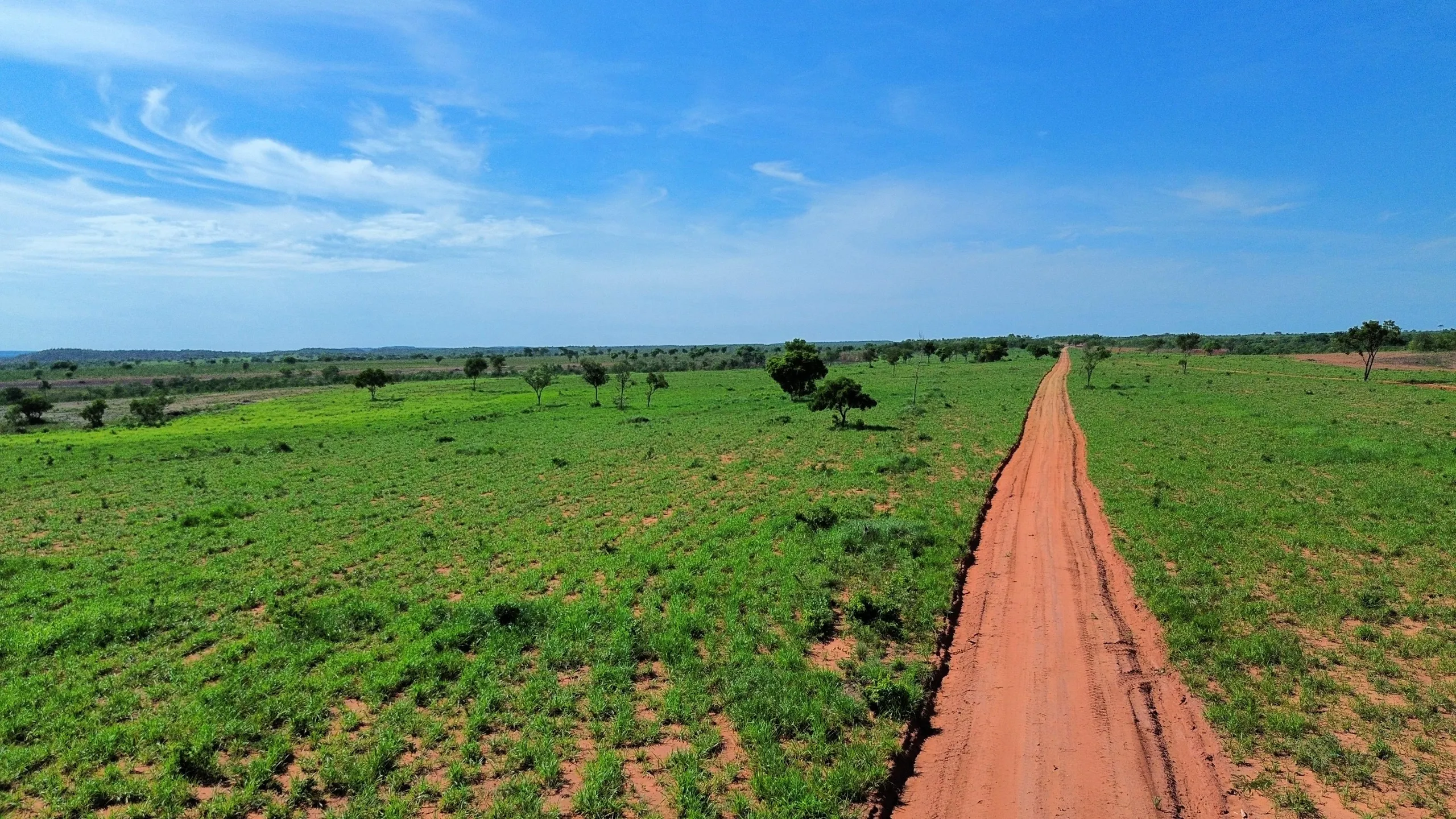 Fazenda à venda de 168 ha em Ponte Alta do Tocantins, TO, Brasil