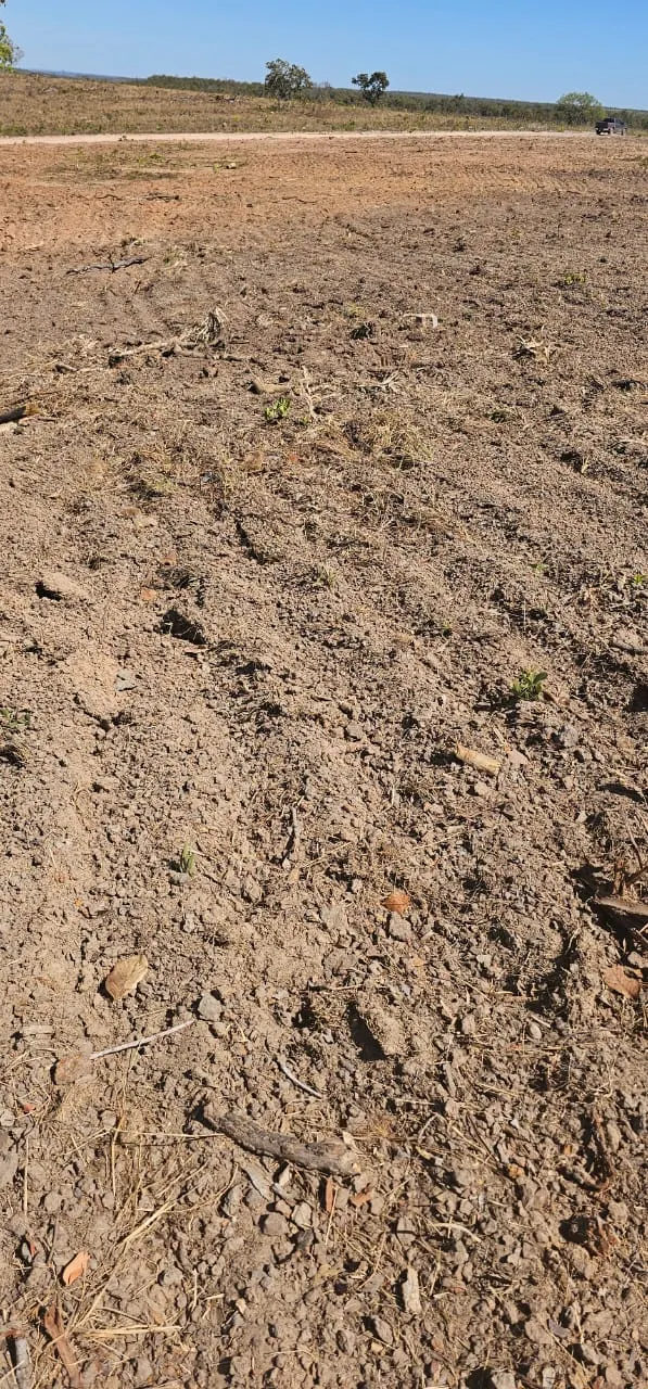 Fazenda à venda de 168 ha em Ponte Alta do Tocantins, TO, Brasil