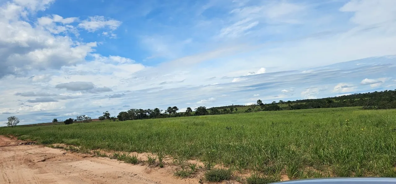 Fazenda à venda de 168 ha em Ponte Alta do Tocantins, TO, Brasil
