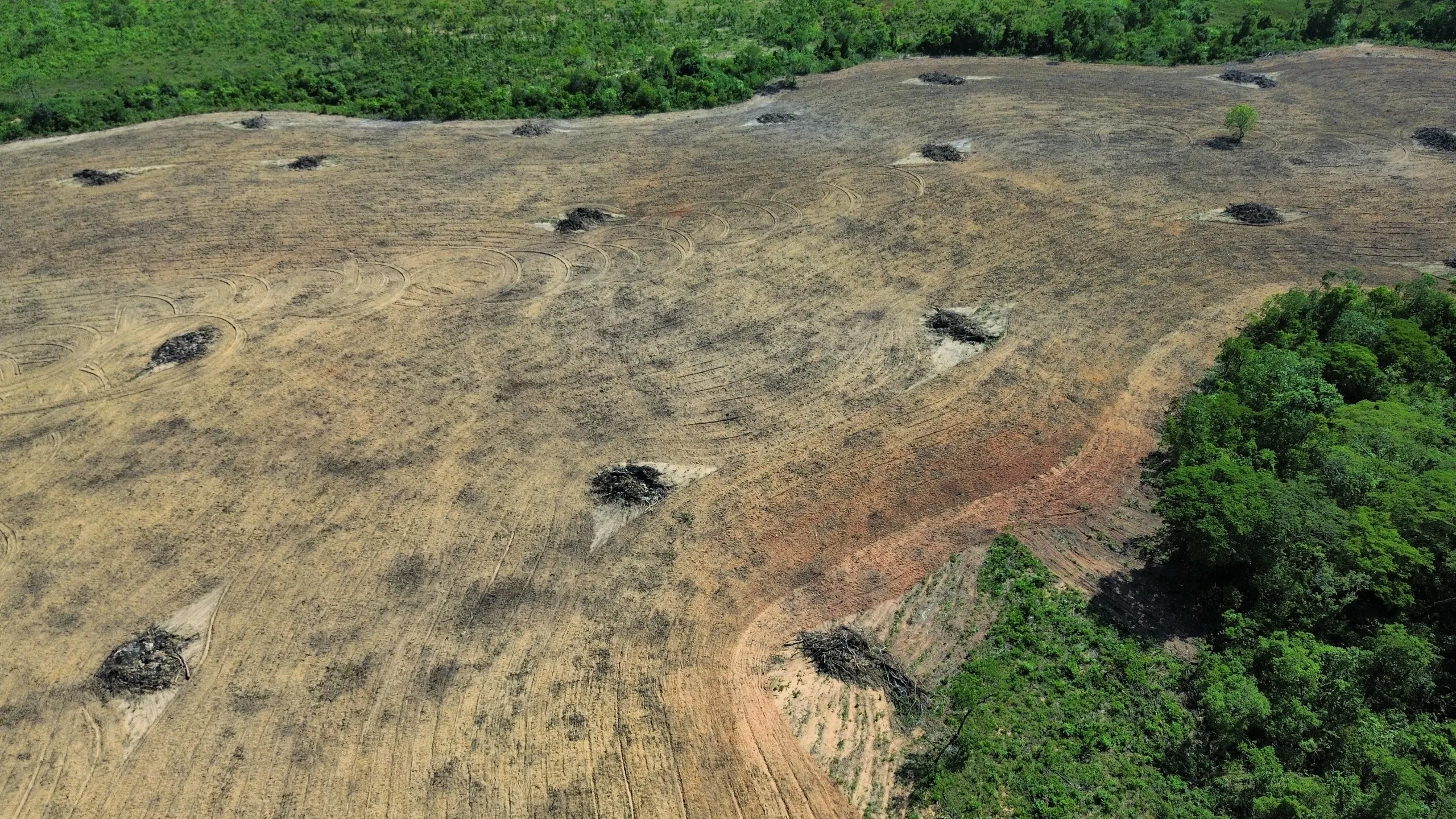 Fazenda à venda de 168 ha em Ponte Alta do Tocantins, TO, Brasil
