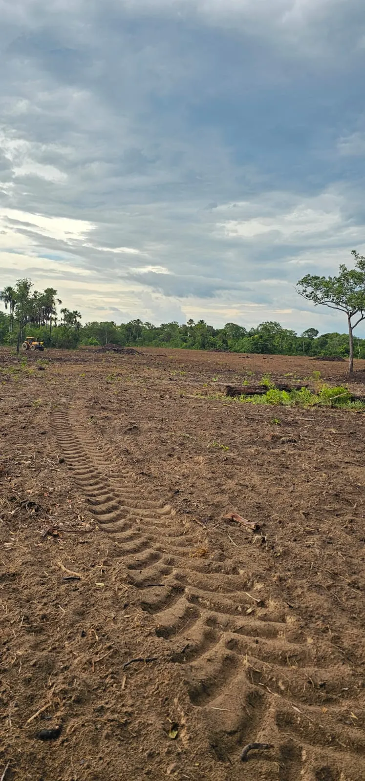 Fazenda à venda de 168 ha em Ponte Alta do Tocantins, TO, Brasil