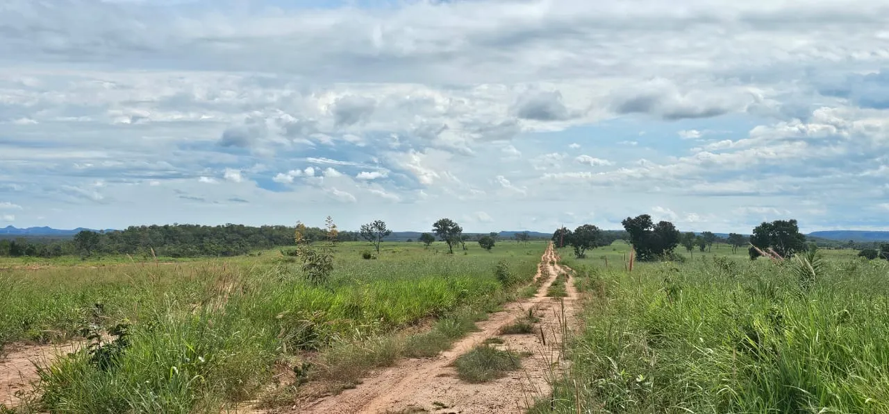 Fazenda à venda de 168 ha em Ponte Alta do Tocantins, TO, Brasil