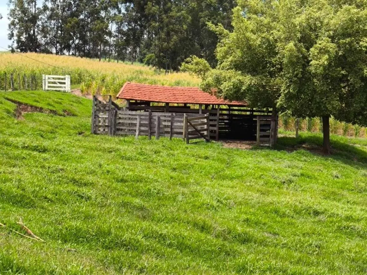 Sítio à venda de 7 ha em Cajuru, SP, Brasil