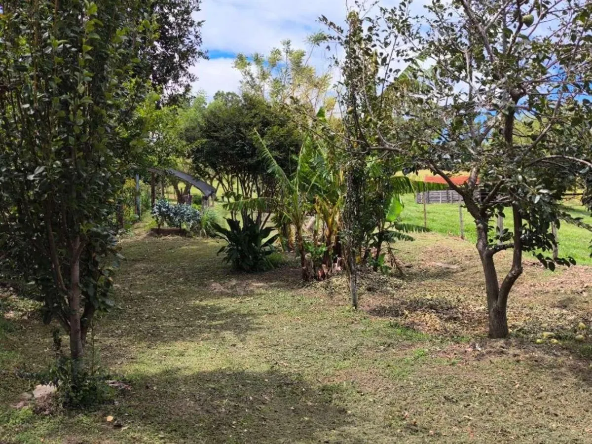 Sítio à venda de 7 ha em Cajuru, SP, Brasil