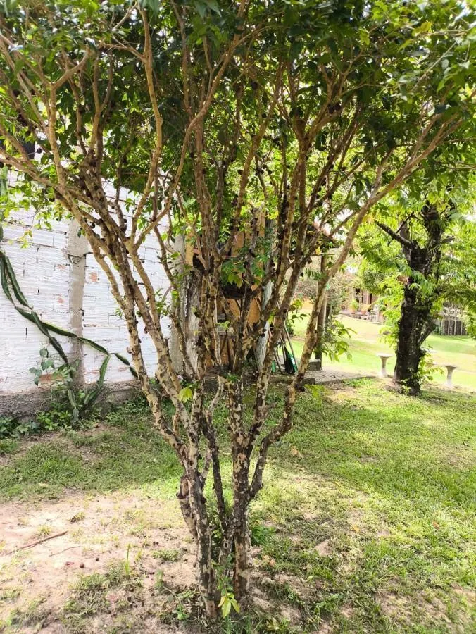 Sítio à venda de 7 ha em Cajuru, SP, Brasil