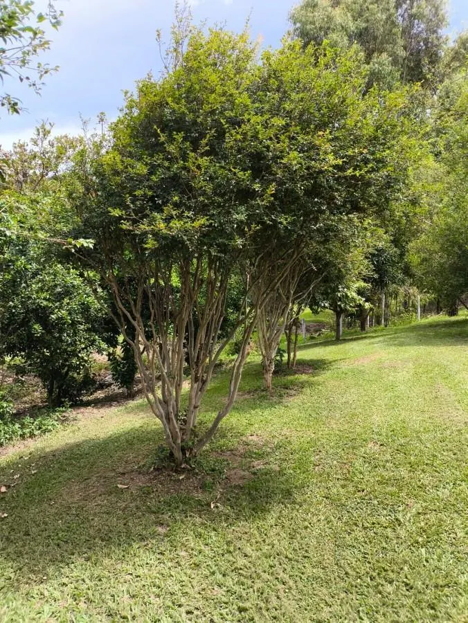 Sítio à venda de 7 ha em Cajuru, SP, Brasil