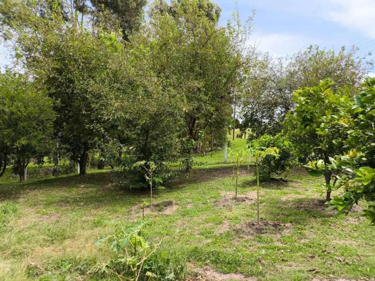 Sítio à venda de 7 ha em Cajuru, SP, Brasil