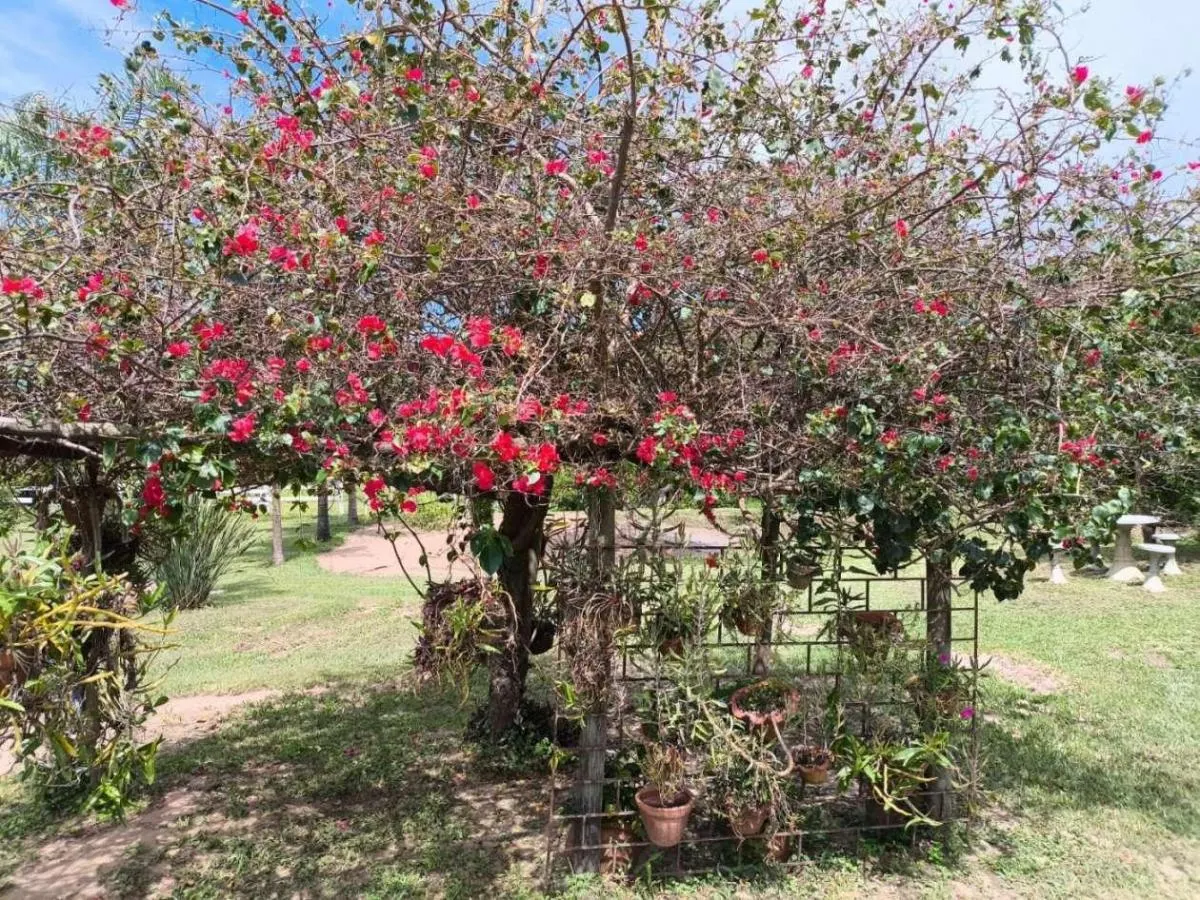 Sítio à venda de 7 ha em Cajuru, SP, Brasil