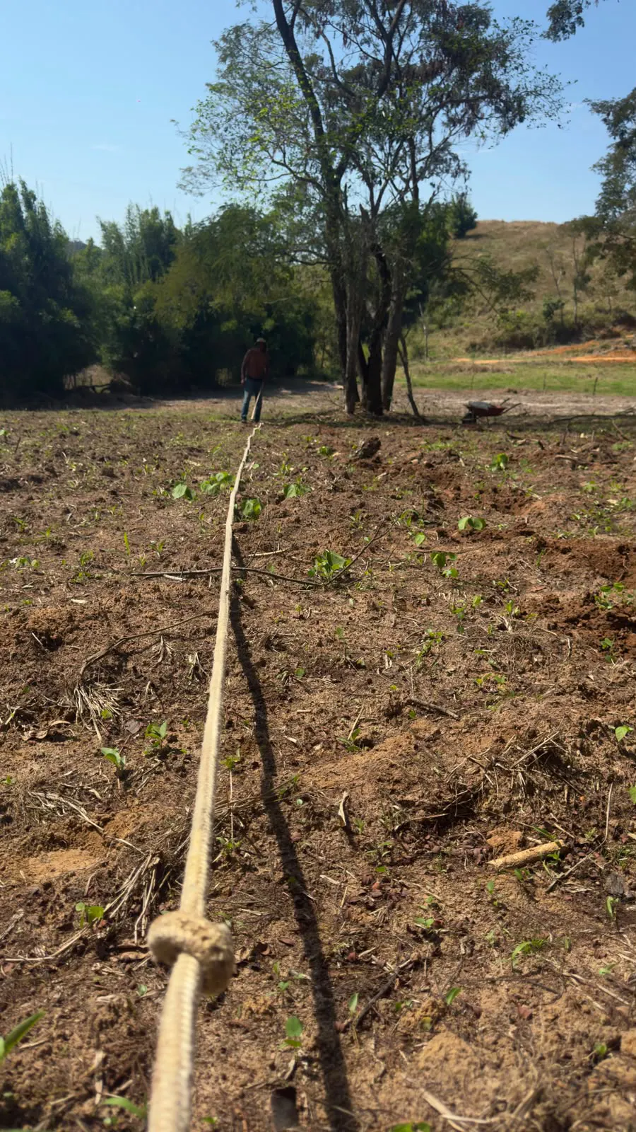 Sítio para Arrendar de 4 ha em Chiador, MG, Brasil