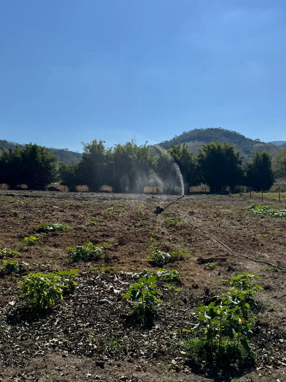 Sítio para Arrendar de 4 ha em Chiador, MG, Brasil