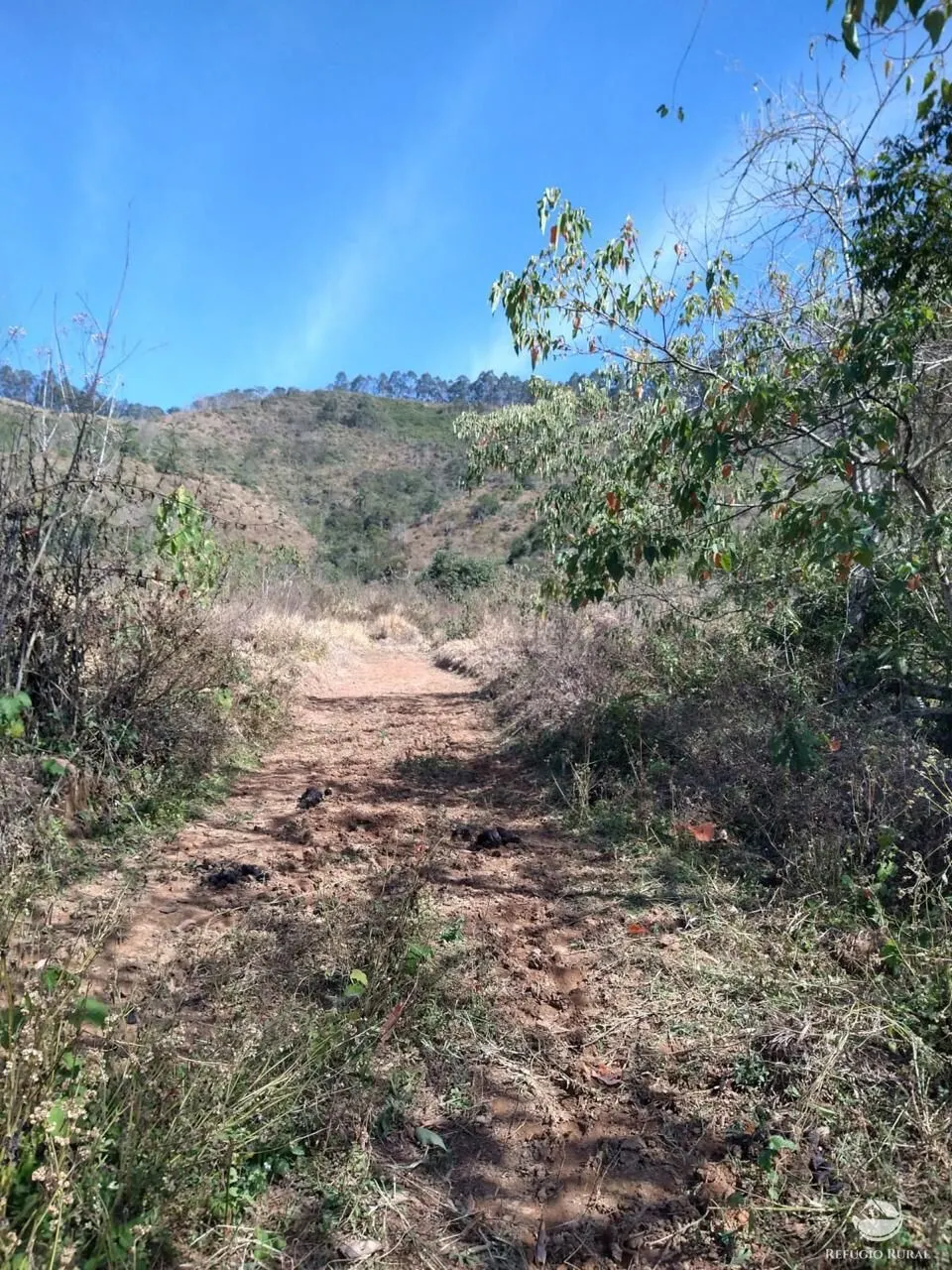 Terreno à venda de 36 ha em Monteiro Lobato, SP, Brasil