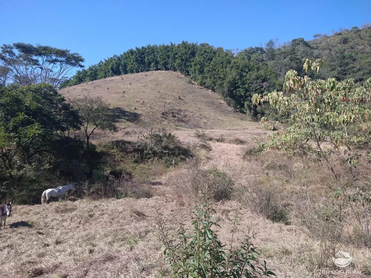 Terreno à venda de 36 ha em Monteiro Lobato, SP, Brasil
