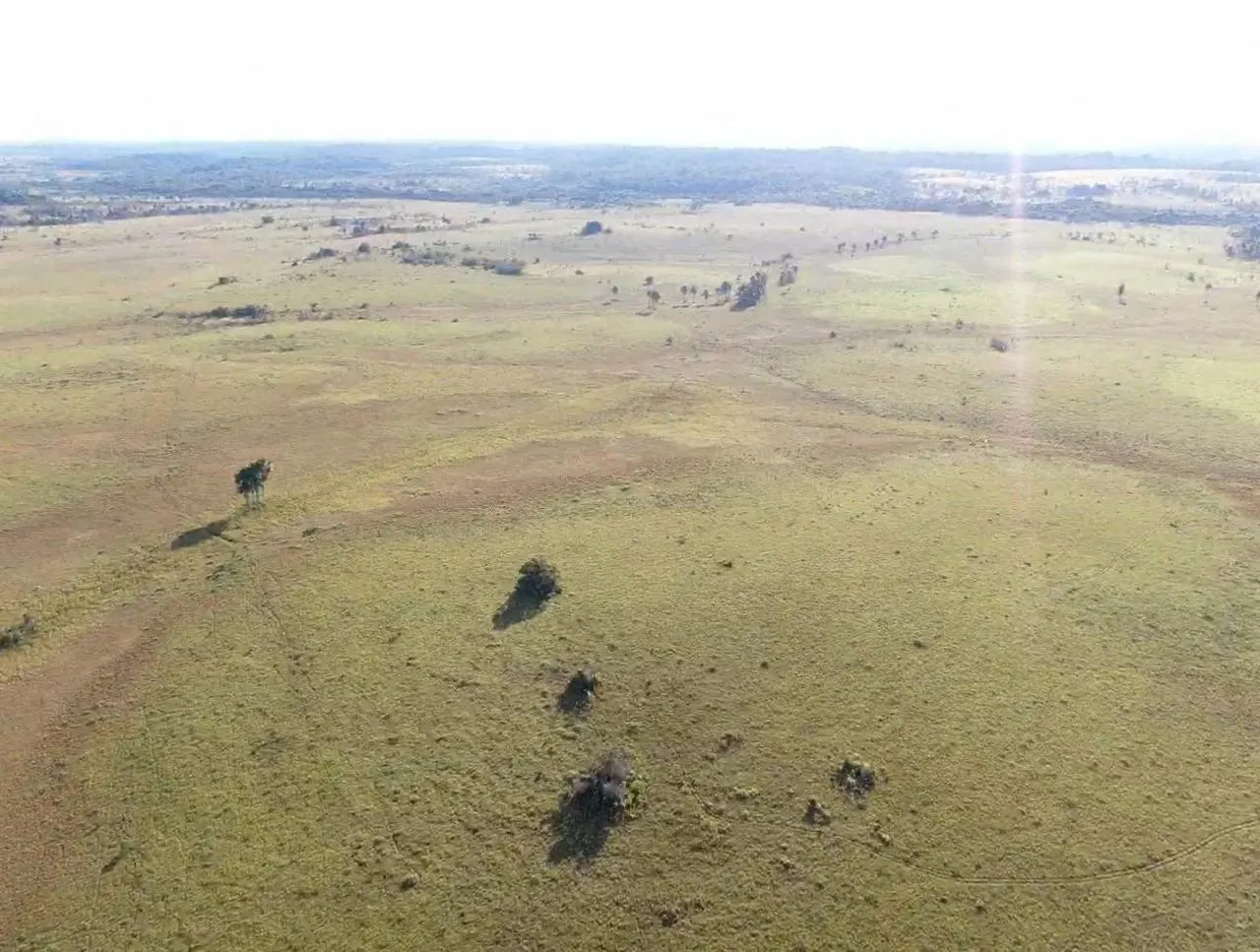 Farm for sale of 2,582 acres in Alto Alegre, RR, Brazil