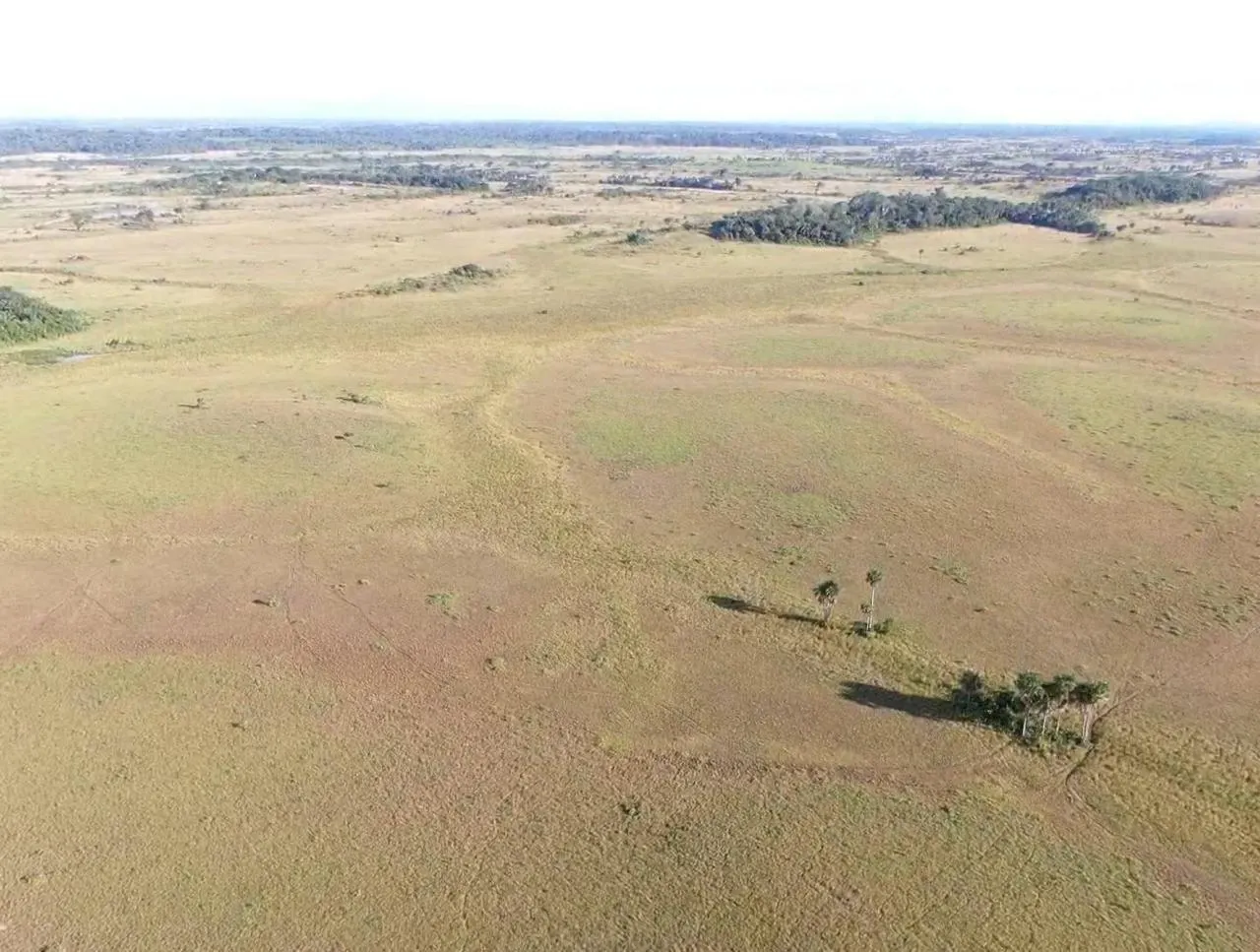 Farm for sale of 2,582 acres in Alto Alegre, RR, Brazil