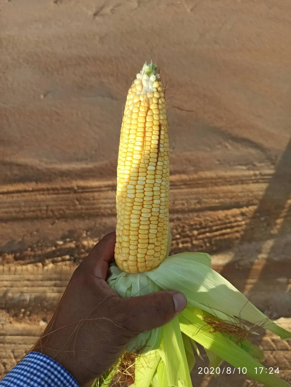 Farm for sale of 2,582 acres in Alto Alegre, RR, Brazil