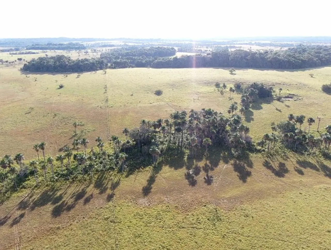 Farm for sale of 2,582 acres in Alto Alegre, RR, Brazil