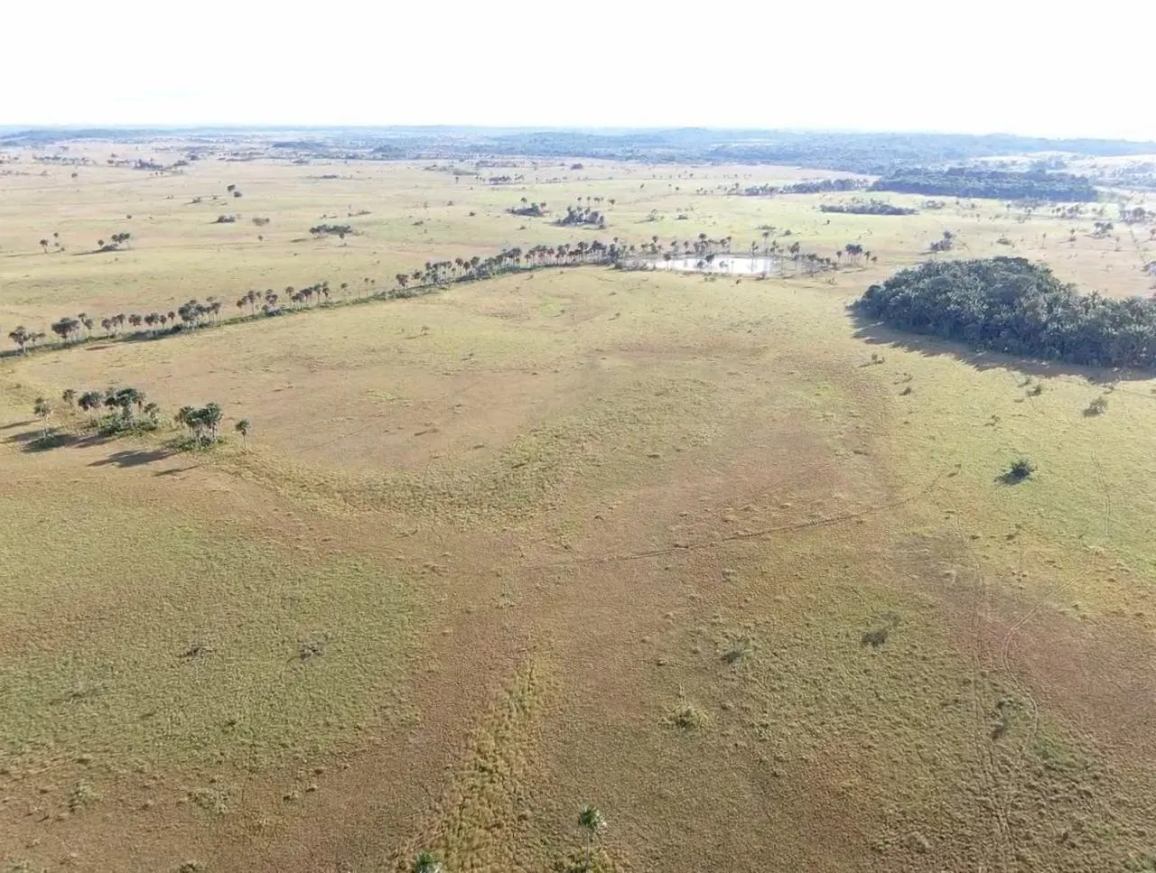 Farm for sale of 2,582 acres in Alto Alegre, RR, Brazil